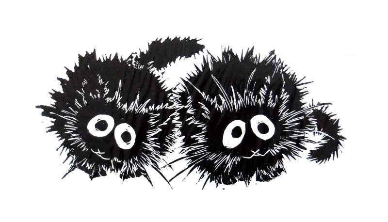 Fur Balls