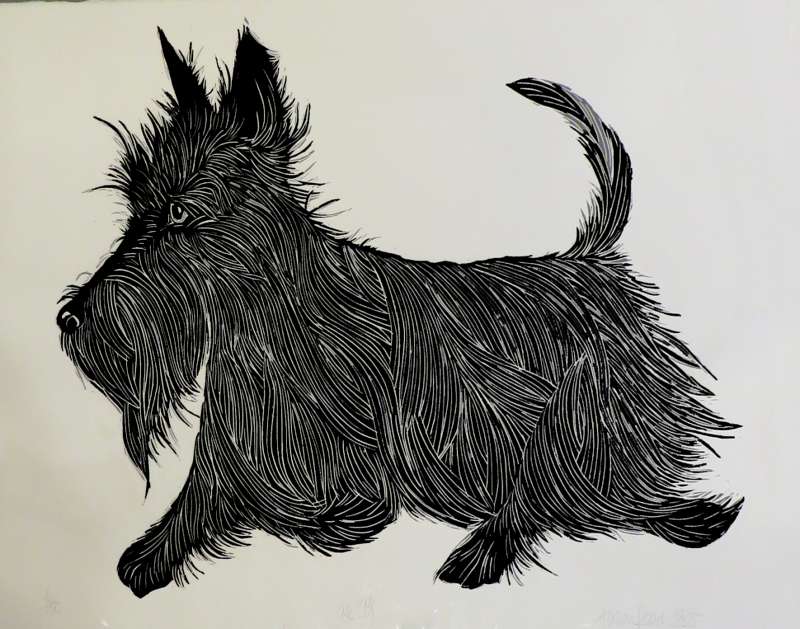 McDog