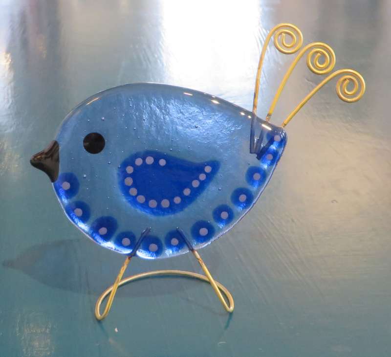 Fancy Bird