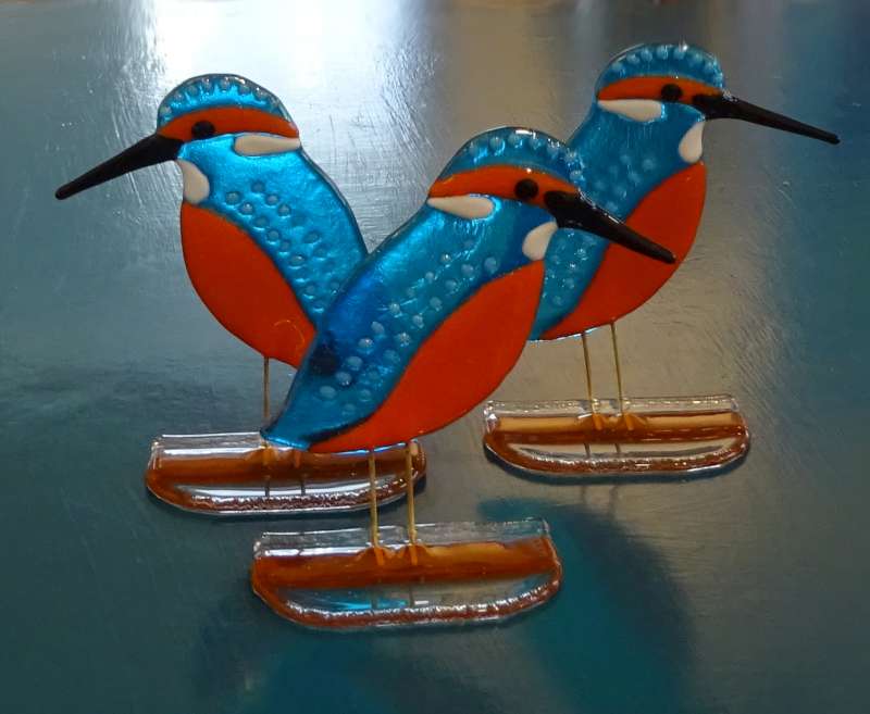 Kingfishers