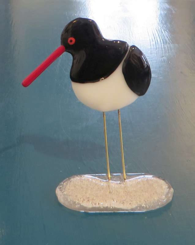 Oyster Catcher 
