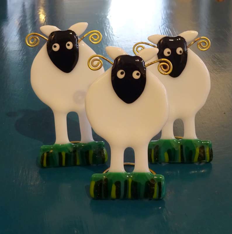 Sheep