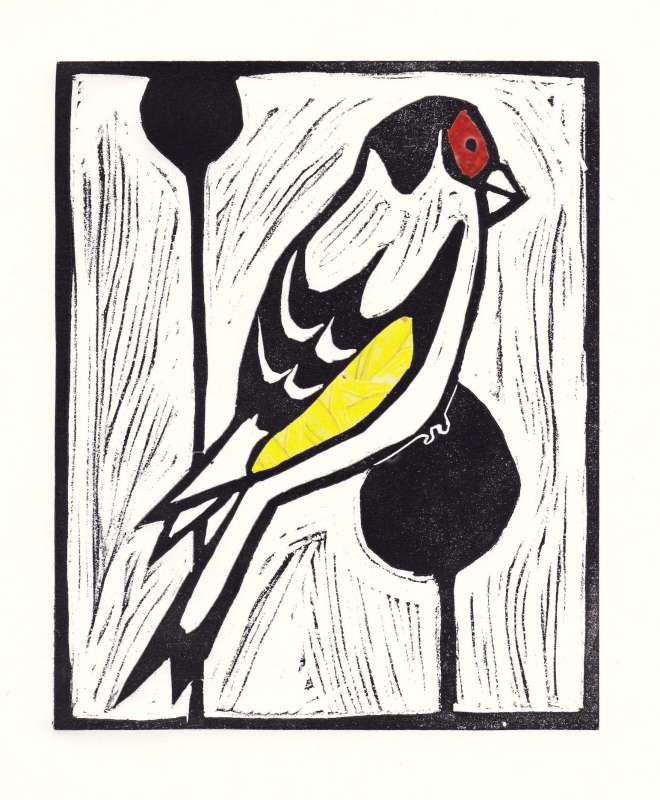 Goldfinch 7/60