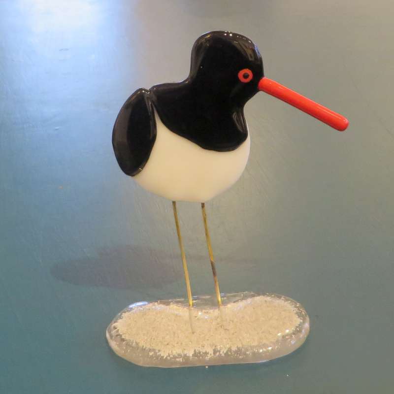 Oyster Catcher 