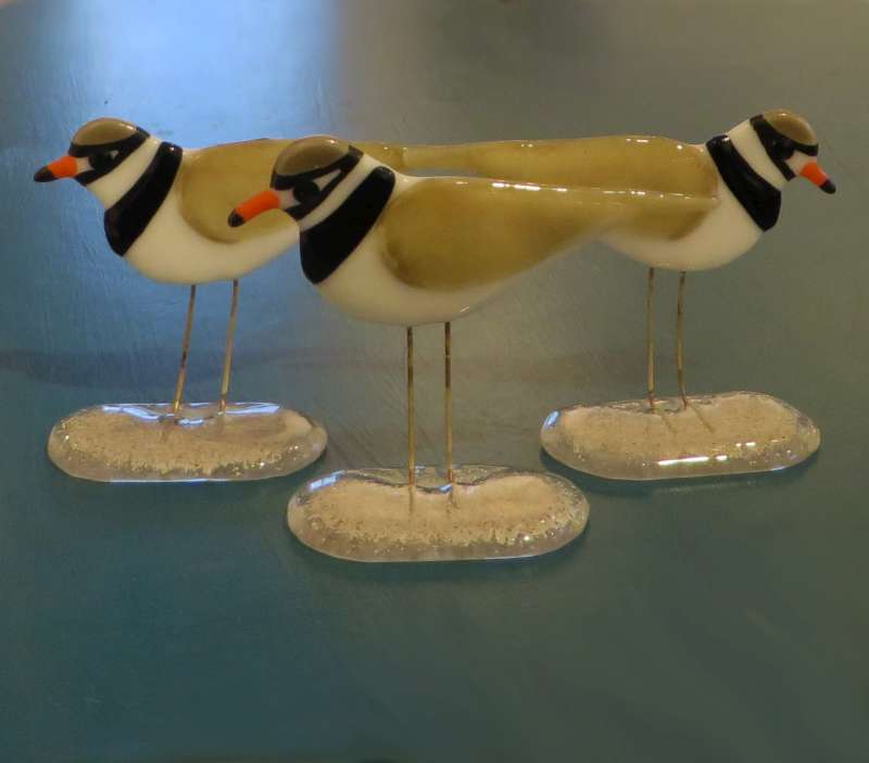 Plovers
