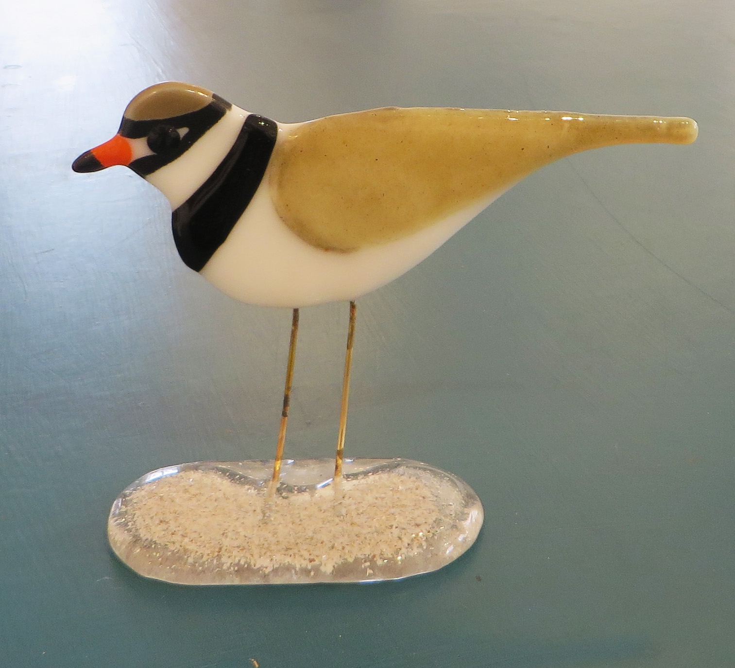 Plover
