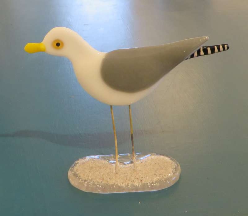 Seagull