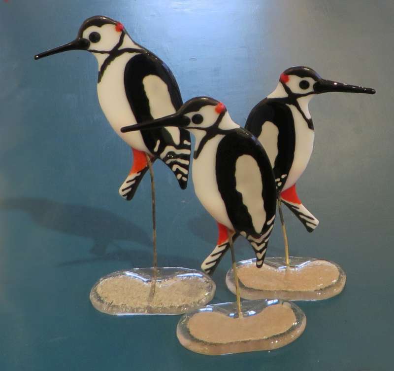 Woodpeckers