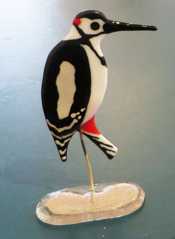 Woodpecker